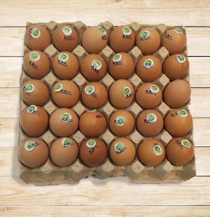 无公害鸡蛋