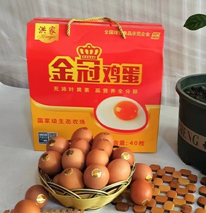 锦州洪家金冠鸡蛋