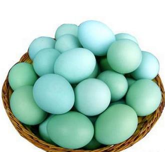 大连无公害鸡蛋哪家好