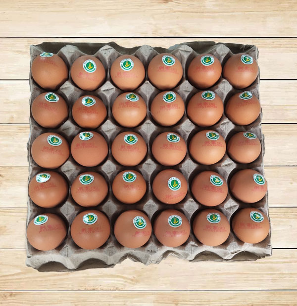 如何根据身体状况食用大连煮鸡蛋