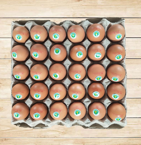 为你介绍大连优质鸡蛋壳的小妙用