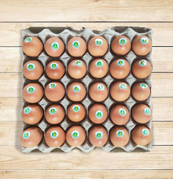 无公害鸡蛋批发